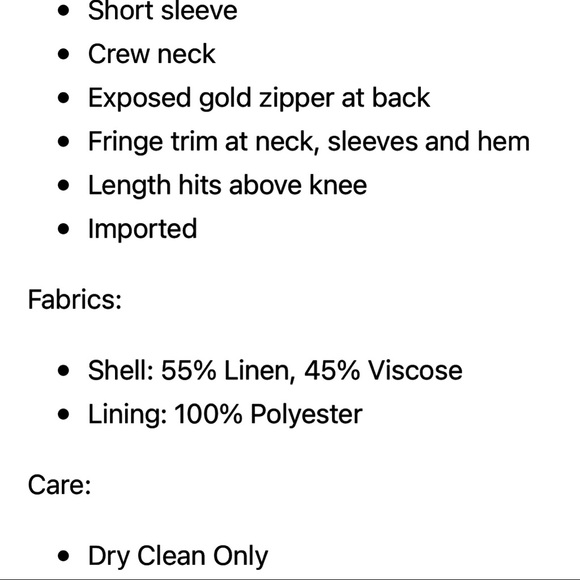 Short Sleeve Shift Dress w/ fringe - Picture 4 of 5